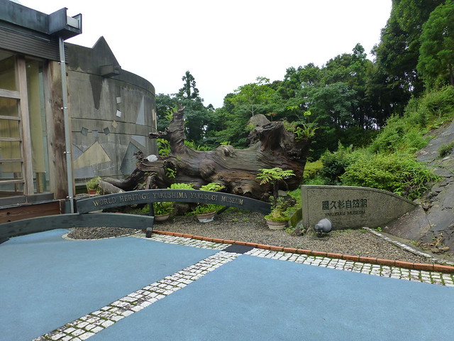 屋久島自然館