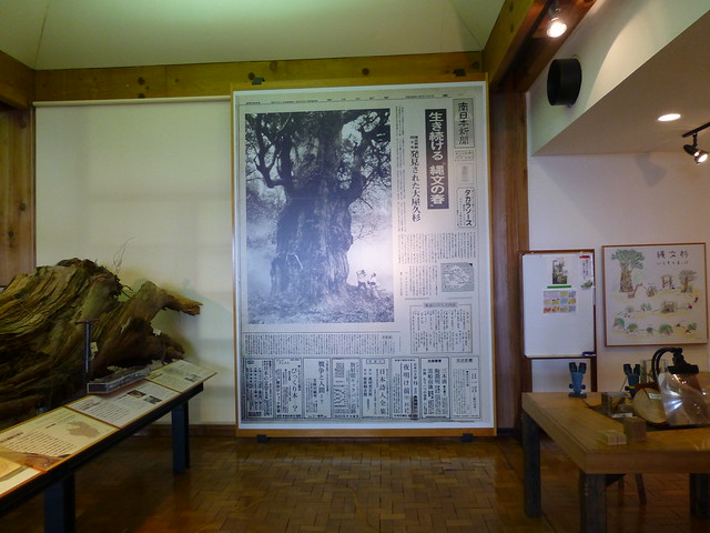 縄文杉発見時の新聞記事